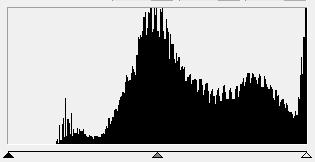 Histogram Špatná