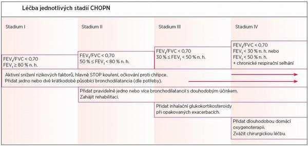 PŘÍLOHA A OBRÁZKY K CHOPN Obrázek 1: Spirometrické