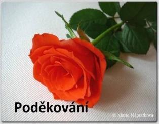a ochotu vyslechnout a poradit.