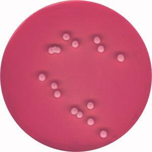 DRBC Saccharomyces cerevisiae ATCC 9763 DRBC chloramfenikolový agar s dichloranem a bengálskou červení Složení (l): Pepton 5.0; glukóza 10.0; dihydrogenfosforečnan draselný 1.0; dichloran 0.