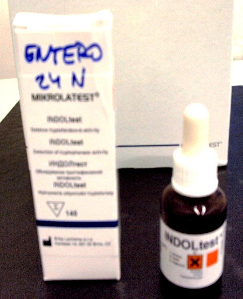 INDOL test Pracovní postup: na filtrační papír se