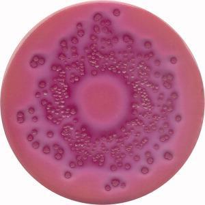 VČŽG VČŽG (Violeť, Červeň, Žlučové kyseliny, Glukosa) Agar půda s krystalovou violetí, violetovou červení, žlučí a glukózou Selektivní půda pro Enterobacteriaceae Escherichia coli ATCC 8739 Typické