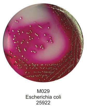 Endo Agar Složení (l): Peptická natrávenina zvířecí tkáně 10.0 g, Laktóza 10.0, Hydrogenfosforečnan draselný 3,5, Siřičitan sodný 2.