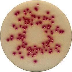 ChromoCult Coliform Agar Selektivní agar pro simultánní detekci koliformů a E. coli v pitné vodě a potravinách Typical Composition (g/litre) Peptone 3.0; sodium chloride 5.