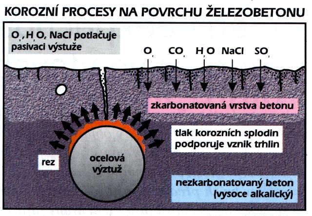 SHR -Přednáška 8 Beton: koroze ocelové výztuže čerstvý beton: ph silně alkalické ( 12,5) ocel se pasivuje vrstva Fe(OH)3 chrání ocel proti korozi karbonatovaný beton: ph postupně klesá při ph cca 9,5