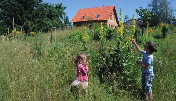 Vltavotýnsko 27. Veselá zahrada (nejen) pro děti soukromá zahrada, Tušť Zahrada na okraji obce Tušť (za truhlářskou dílnou) vzniká postupně za pomoci dětí.