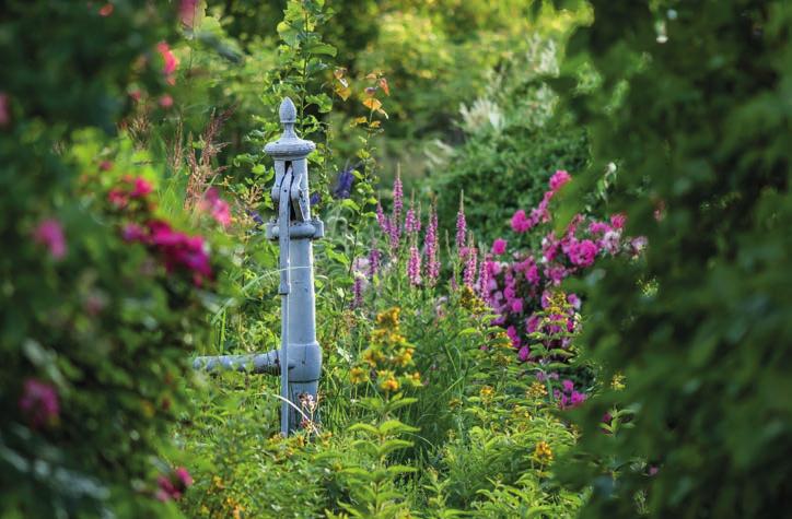 Spolek Přírodní zahrada Dlouholetá zkušenost v oblasti přírodních zahrad v Dolním Rakousku je díky naší spolupráci s kolegy z Natur im Garten i dalšími organizacemi přenášena i k nám do České