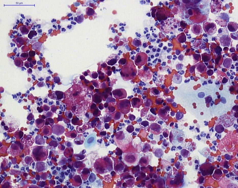 233 Obr. 3.