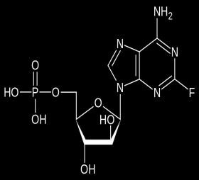 (DEOXY) NUKLEOSIDOVÉ ANTIMETABOLITY (PURINOVÉ) Fludarabin (Fludara) deoxyadenozin Fludarabin (fosfát) Díky F na bázi je odolný vůči deaminaci