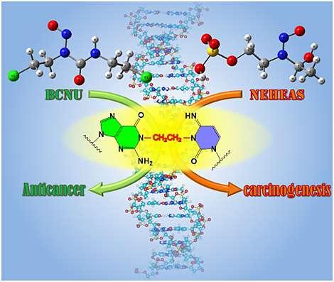 Chloroethyl nitrosourea Chloroethyl diazohydroxide izokyanát karbamylace volných