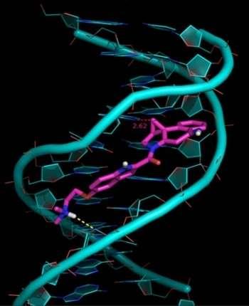 Antracykliny mechanismus účinku Interkalace molekuly do DNA způsobí inhibici transkripce a replikace inhibici topizomerázy II dvouřetězcové zlomy