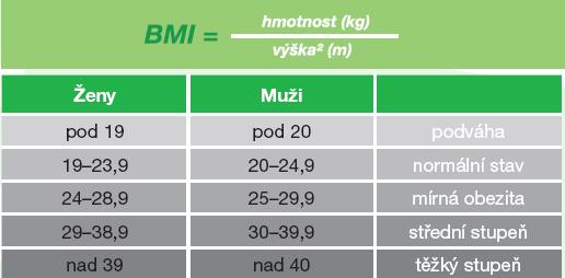 Příloha 6: Škála pro určení BMI Zdroj:http://www.1sg.
