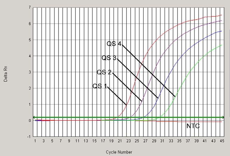 Obr. 23: Průkaz Kvantifikačních standardů (CMV QS 1-4) detekcí fluorescenčního signálu FAM (ABI