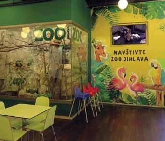 SPOLUPRÁCE SE SDĚLOVACÍMI PROSTŘEDKY Media partnerships Martin Maláč Během roku 2017 rozeslala jihlavská zoo celkem 26 tiskových zpráv o aktivitách zoo a o zvířatech pro nejrůznější sdělovací