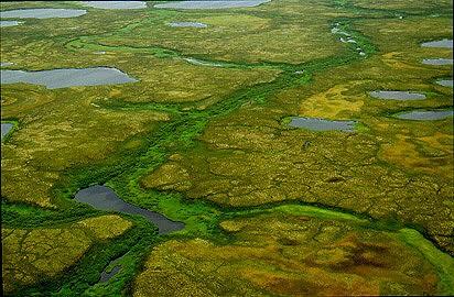 The tundra near the town of Vorkuta. Photo P.