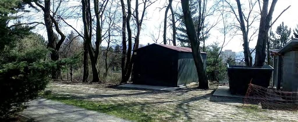 Ačkoli to v celkovém počtu psů není patrné, počet umístěných psů v našem centru byl nižší než v předchozích letech.