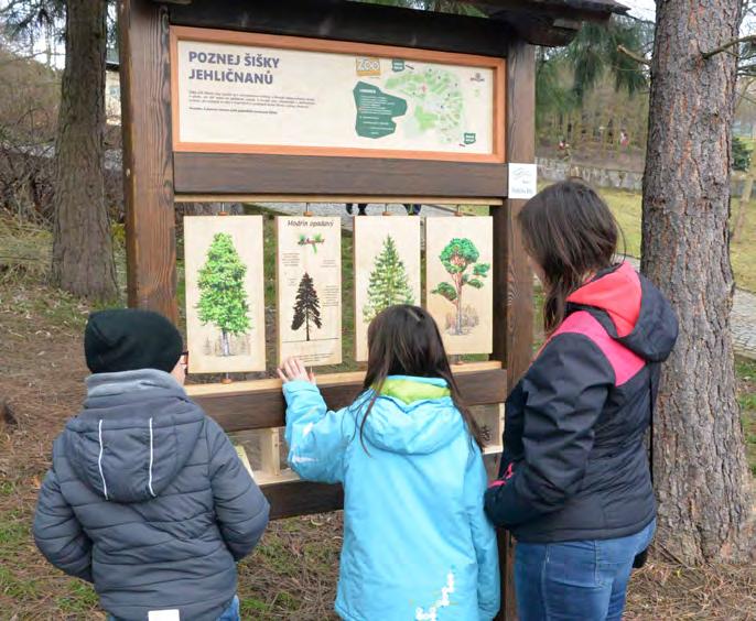 v zooškole, ukázka přírodnin, pracovní listy ). Zájem o tuto nabídku projevilo celkem šest skupin s počtem 142 dětí.
