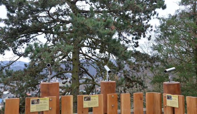 V nabídce bylo celkem osm akcí, mezi nejoblíbenější dlouhodobě patří zejména cvičení slonů či jejich procházka po zoo, komentované krmení surikat či lemurů kata v jejich průchozí expozici, krmení a