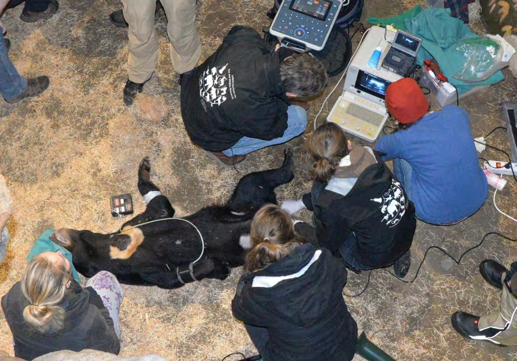 Veterinární péče v zoo a Centru pro zvířata v nouzi Sdružení veterinárních lékařů a služeb MVDr. Renata Poživilová, zpracoval MVDr.