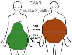 Tělesná hmotnost.