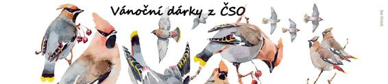 počet přehoupl přes 6 500. c c Na našem kanálu YouTube (youtube.