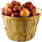 Je-li vaše dítě levák, nesnažte se ho přeučit na praváka, ale obstarejte mu speciální pera, tužky a pastelky pro leváka.