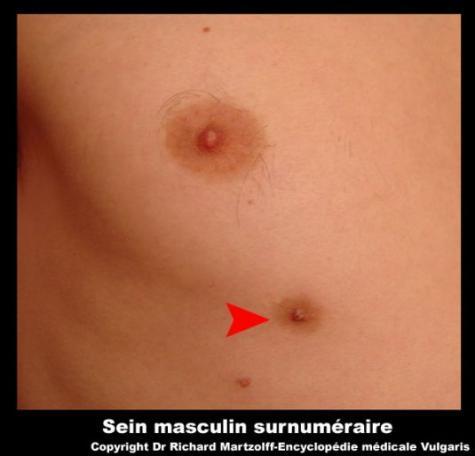 fr/journal-secret-revue-education-sexuelle/dp/b0039gyphq Obr. č. 3.