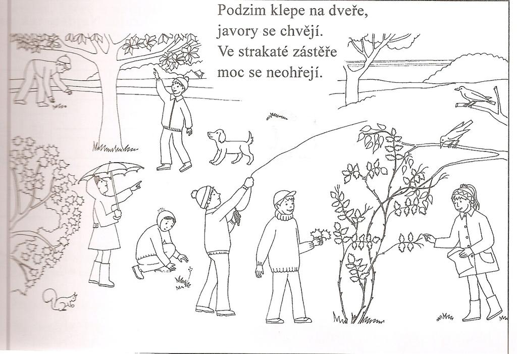 Příloha č. 1 Mulhauserová, H.,Svobodová, J.