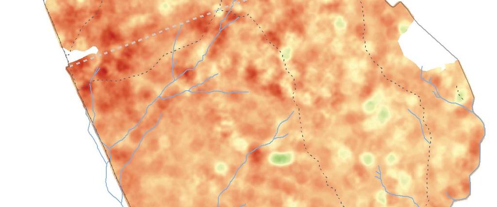 Mapa vývoje hustoty živých kmenů v Žofínském pralese mezi lety 197-1997 Král K., Adam D., Hort L., Janík D., Šamonil P., Unar P., Vrška T.