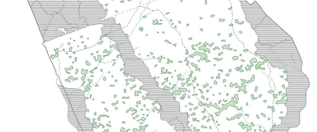 Mapa porostních světlin ("gaps") v bukové části Žofínského pralesa v roce 1971 Kenderes K., Král K., Vrška T., Adam D., Hort L., Janík D., Šamonil P., Unar P.