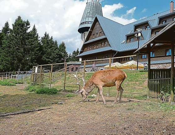 Náš kraj 14. září 2018 19 Kramářova chata je spojena se třemi letošními výročími vzniku republiky Suchý vrch patří kdominantám jižní části Orlických hor.