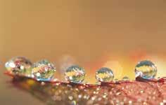 SN4 - SN8 CIRCULAR 60 C STIFFNESS SN4 - SN10 CIRCULAR STIFFNESS SN4 - SN10 DOUBLE CORE