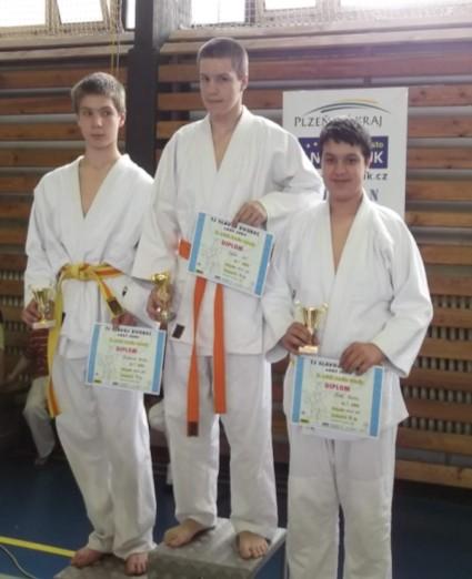 podařilo registrovat do Českého svazu juda a založit oddíl Judo DDM Stod.