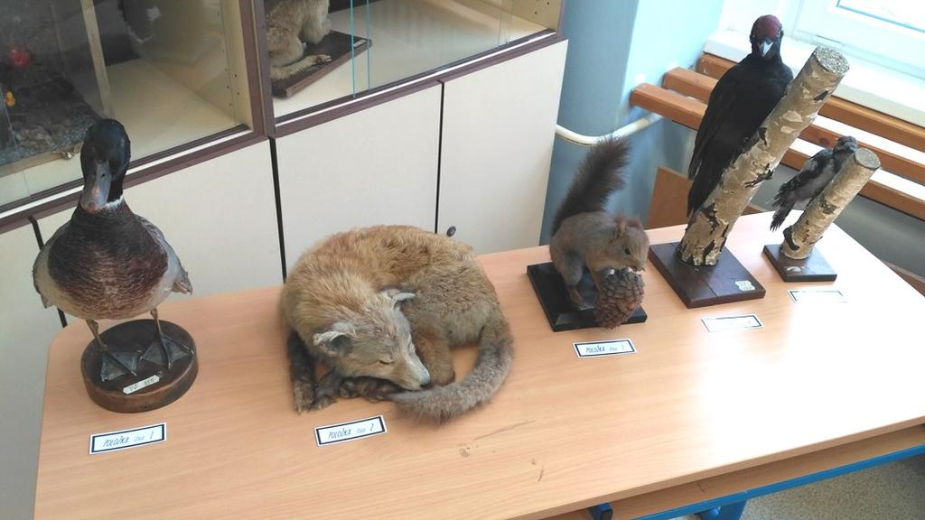 můžeme určit přítomnost organismů v přírodě. Dále následovala "poznávačka" 15 rostlin a 15 živočichů a nakonec laboratorní úkol.