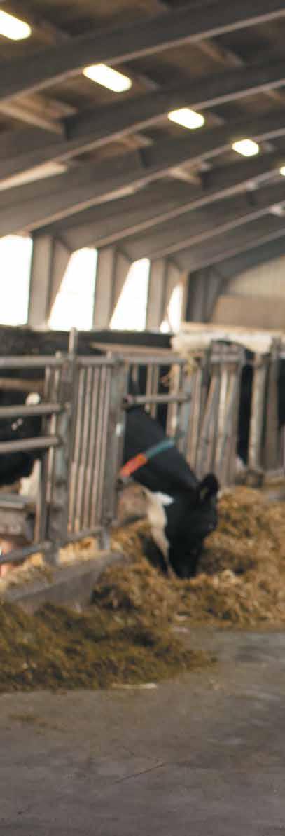 VŠE SE TOČÍ OKOLO VÁS DeLaval VMS V300 znamená ještě osobitější hospodaření na mléčné farmě. Přesnější. Ziskovější.