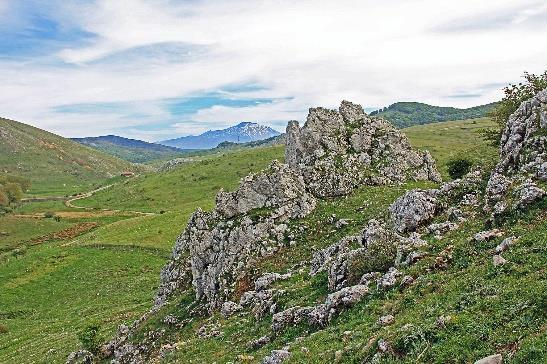 Muzea a jejich role v rozvoji vědecké a umělecké kultury regionu příprava a realizace monografií o muzeích na Moravě a ve Slezsku Grantový projekt: IGS201612/2016 Řešitel: doc. PhDr. Pavel Šopák, Ph.