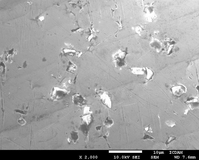 technologie SEM mikroskopie.