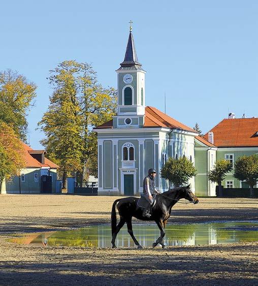 cenná národní přírodní rezervace Bohdanečský rybník. Bohatá historie zanechala na Pardubicku množství kulturních památek.