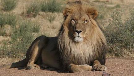 Nejmarkantnější je zde Etosha Pan, široká a mělká propadlina o rozloze 5 000 km 2.