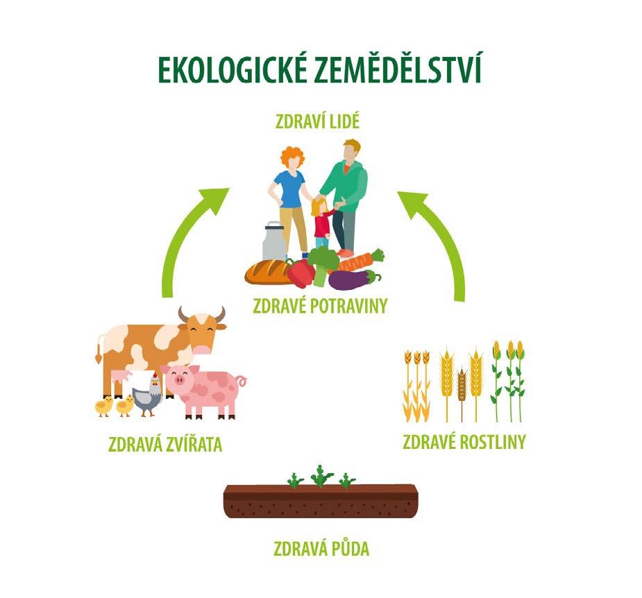 O SPOLKU VESELÁ BIOFARMA Zájmové sdružení přátel ekologického zemědělství vychází z idejí zakladatelů EZ v ČR, kteří se po letech sešli právě ve Velkých Hostěrádkách, aby nastartovali neziskový