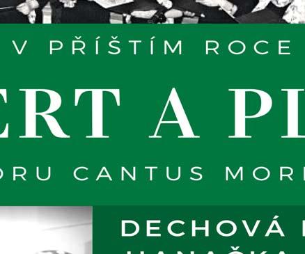 Morkovicích