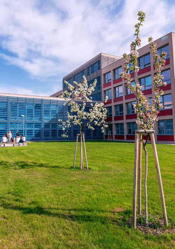 Provozně ekonomická fakulta Základní informace o fakultě Fakulta nabízí studentům široké spektrum vzdělání pokrývající celou oblast řízení, ekonomiky a komunikačních