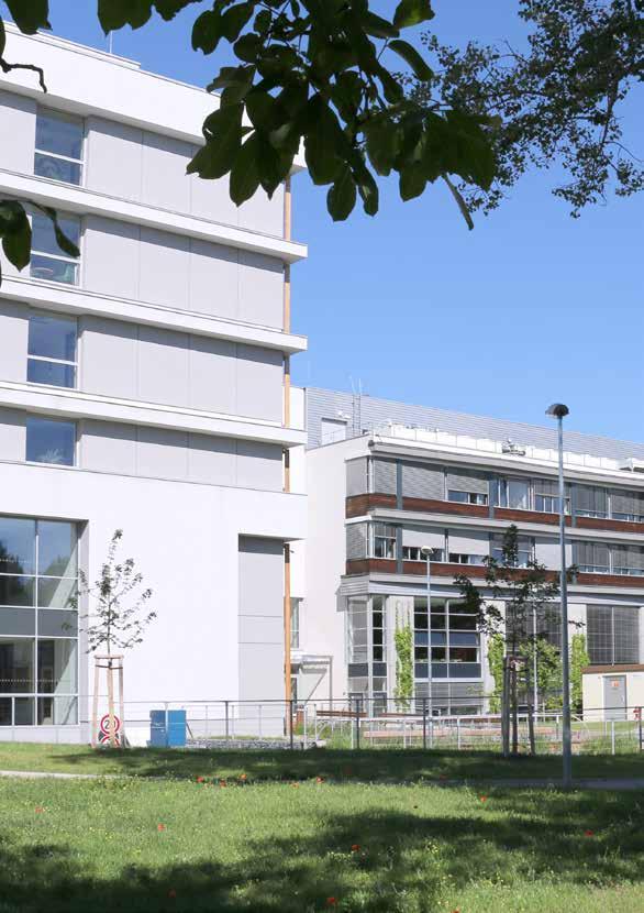 Fakulta životního prostředí Základní informace o fakultě Fakulta nabízí studentům široké spektrum vzdělání pokrývající oblasti ekologie, ochrany přírody, krajinné a pozemkové úpravy, krajinného
