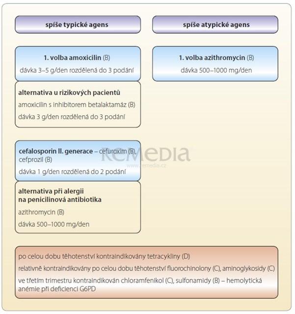Antibiotika v graviditě klindamycin, karbapenemy- pro závažné stavy (FDA-B) stejné dávky jen PEN vyšší dávky o 30-50% nebo kratší intervaly pro