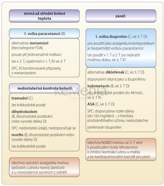 Antipyretika v graviditě lék 1.volby paracetamol PharmDr.