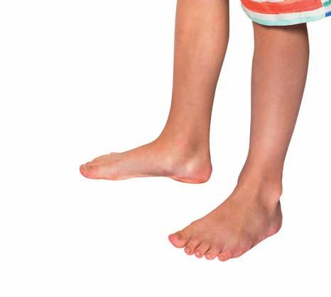 spoustu aktivit