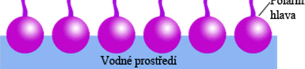 a záporně nabité anionaktivní tenzidy (dodecyl-sulfát sodný (SDS)).