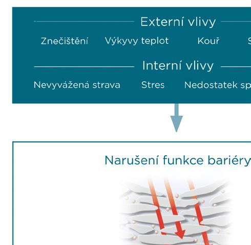 Jak Vichy Minéral 89 Hyaluron Booster funguje? Harmonogram projektu.