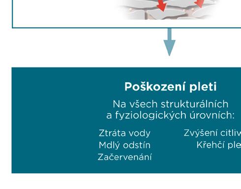 Začalo testování Foťte: Sdílejte své zkušenosti s rozbalováním balíčku a prvními testy s přáteli a známými a pořizujte fotografie, abychom i my