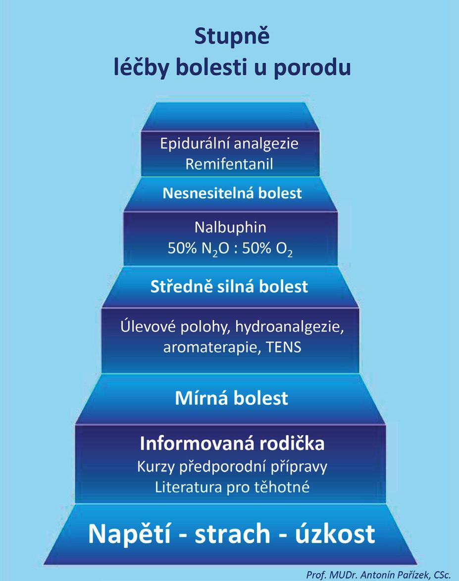 dí povinnosti zdravotnických pracovníků určené jinými zákonnými, podzákonnými nebo jinými profesními normami. 2.